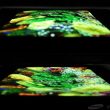 display flessibile samsung